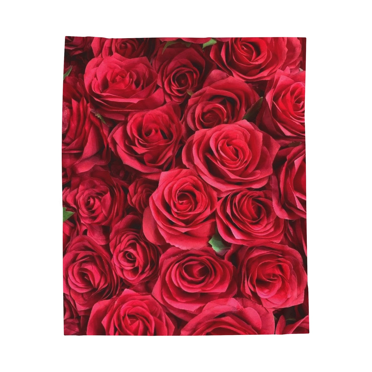 Rose Plush Blanket