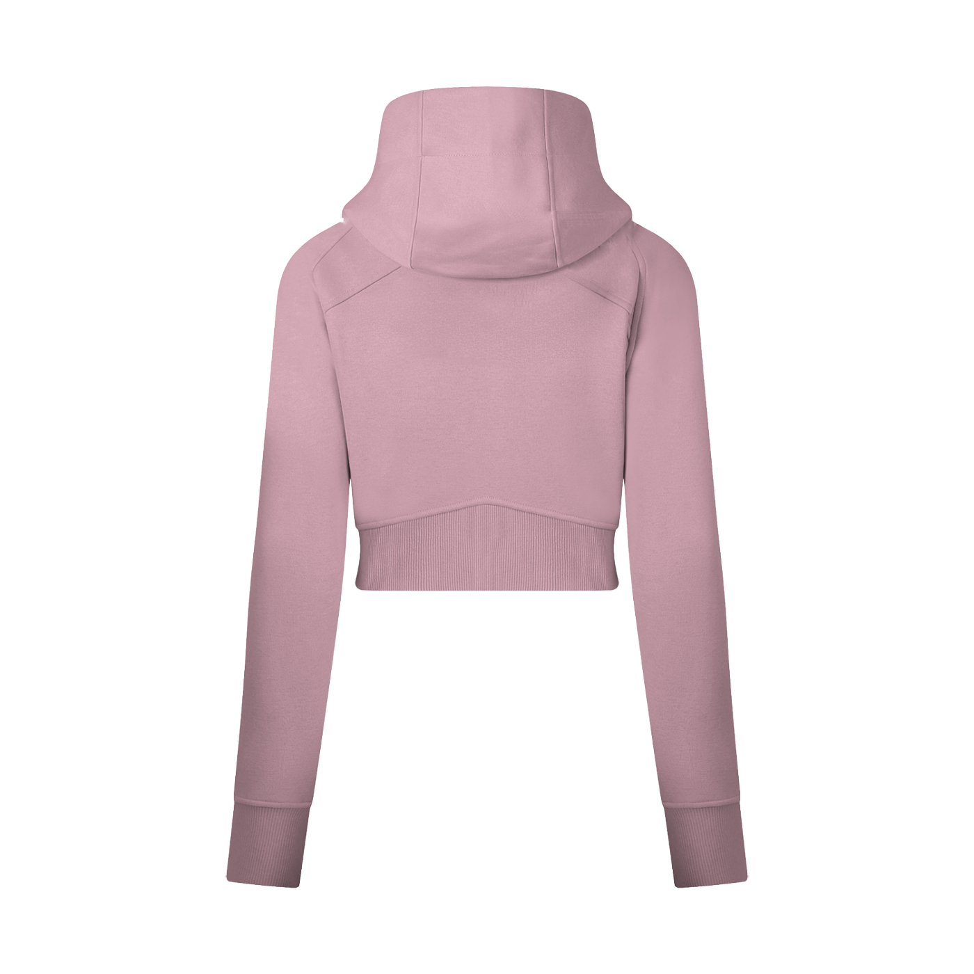 TBP hoodie